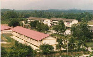 eyeview1.jpg